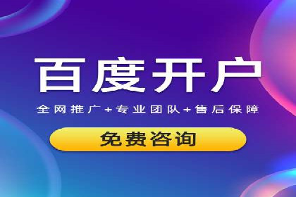 谷歌竞价广告的投放策略与成功案例分析